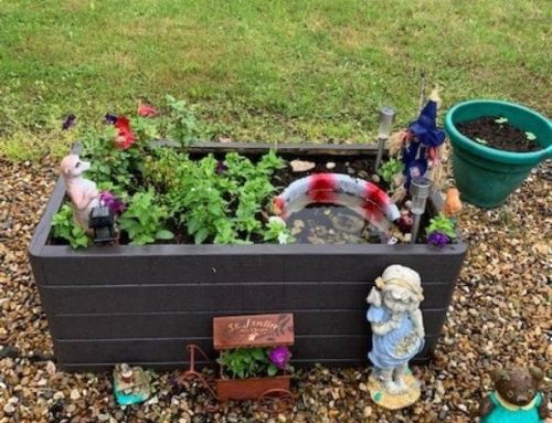 Creative Garden’s at Fred Tibble